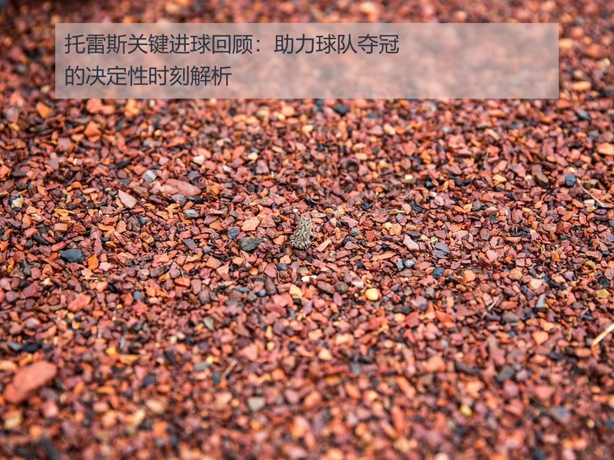 托雷斯关键进球回顾：助力球队夺冠的决定性时刻解析